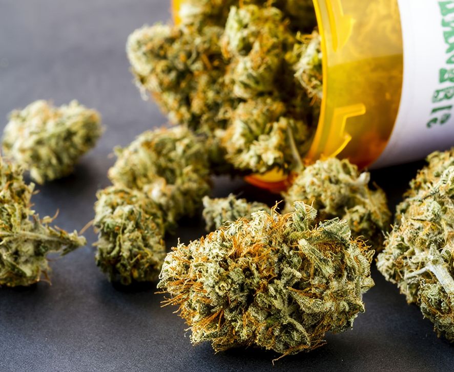 сухая марихуана в банке